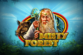 Misty Forest: ¡Tragamonedas con bonificación exclusiva!