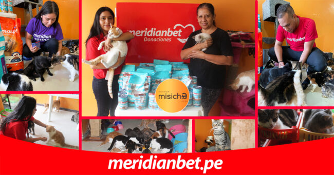 asociación misicha