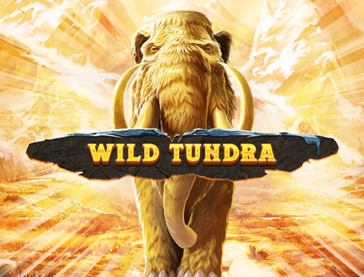 Wild Tundra: Encuentro con bestias salvajes Wild Tundra: Encuentro con bestias salvajes